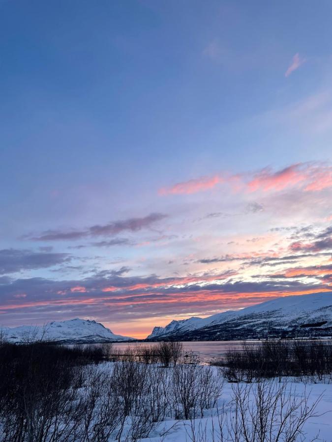 Modern Nearby Centrum Appartement Tromsø